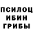 Галлюциногенные грибы мухоморы xohanoc